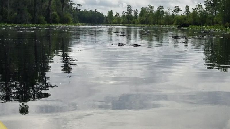 Minimal Light Pollution and True Darkness