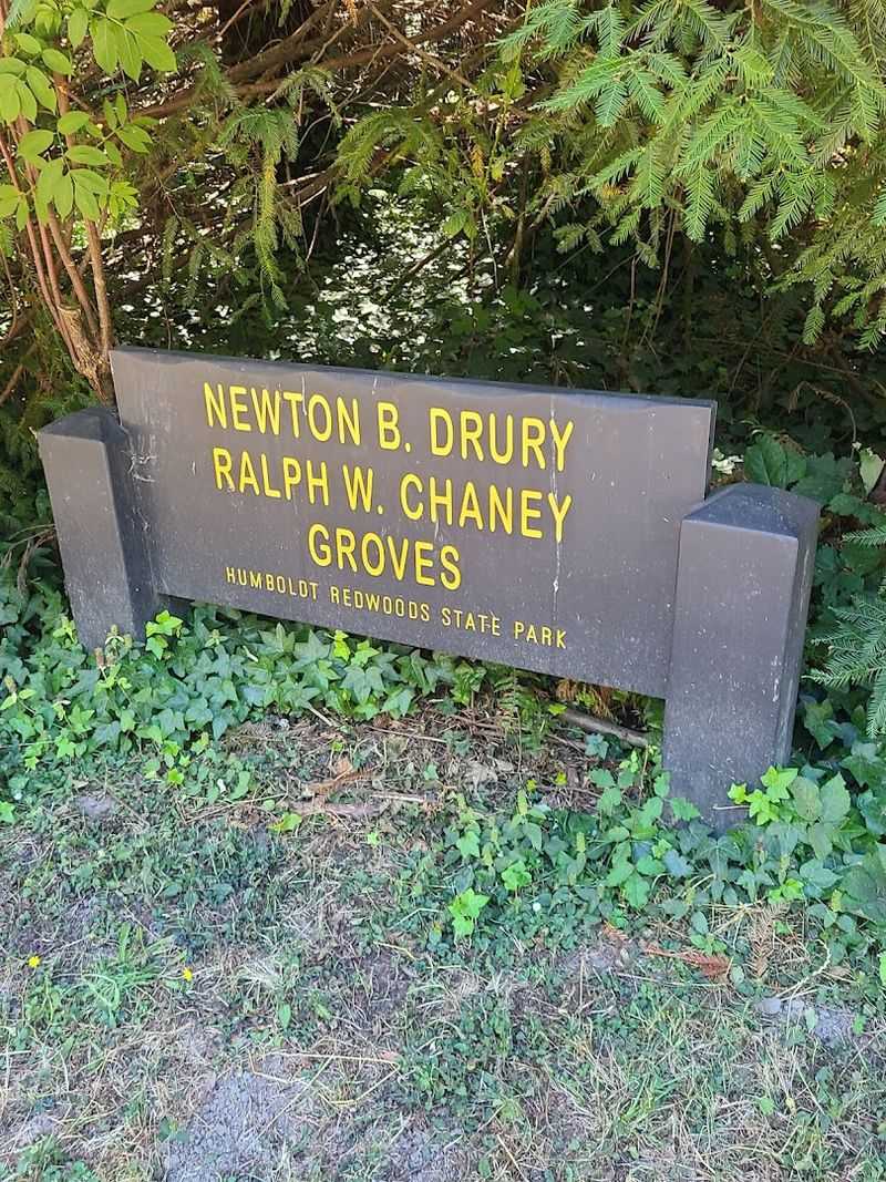 Trail Access: Finding The Trailhead Along The Avenue Of The Giants