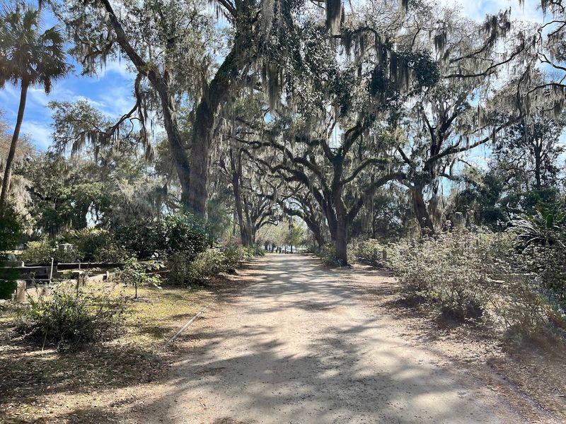 This Haunted Landmark Bonaventure Cemetery Savannah Georgia Draws Thousands - Decor Hint Free Guided Tours by the Bonaventure Historical Society