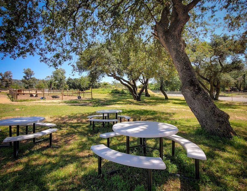 Discover This Alpine, California Petting Zoo That's Creating Big Family Memories - Decor Hint Community Partnerships