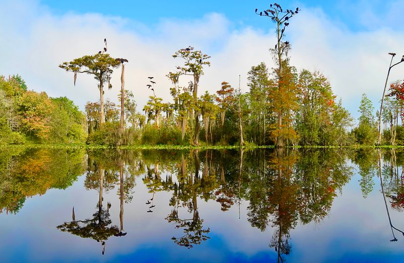 Educational Programs and School Field Trips