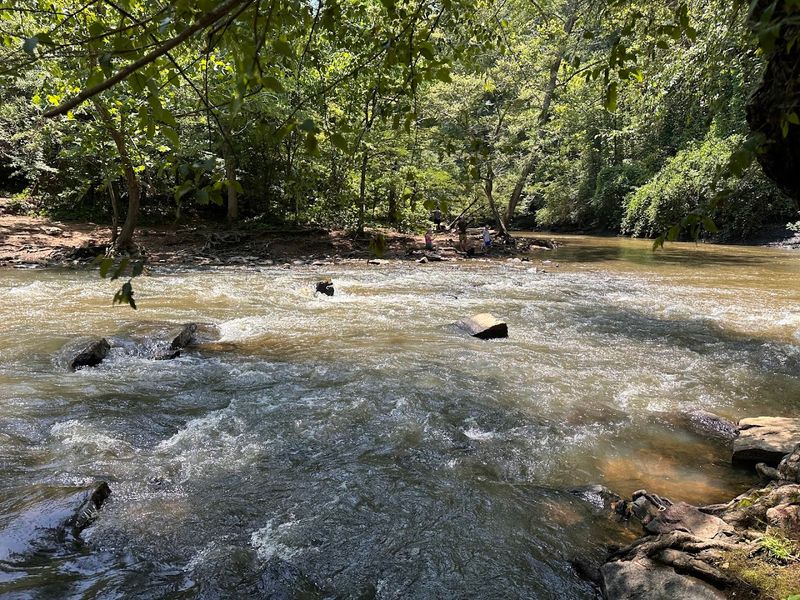 Dog-Friendly Trail for Four-Legged Adventurers