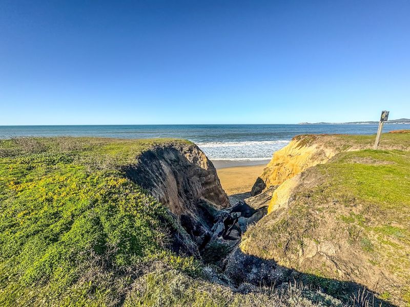 The Trail Passes Through Wavecrest Open Space Preserve