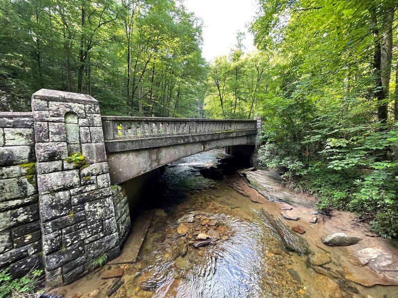 Moore Cove Falls Trail