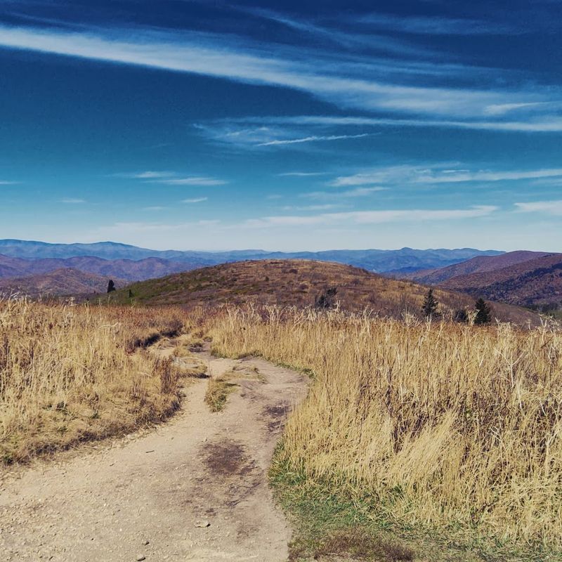 Art Loeb & Black Balsam Knob Trailhead, Blue Ridge Parkway