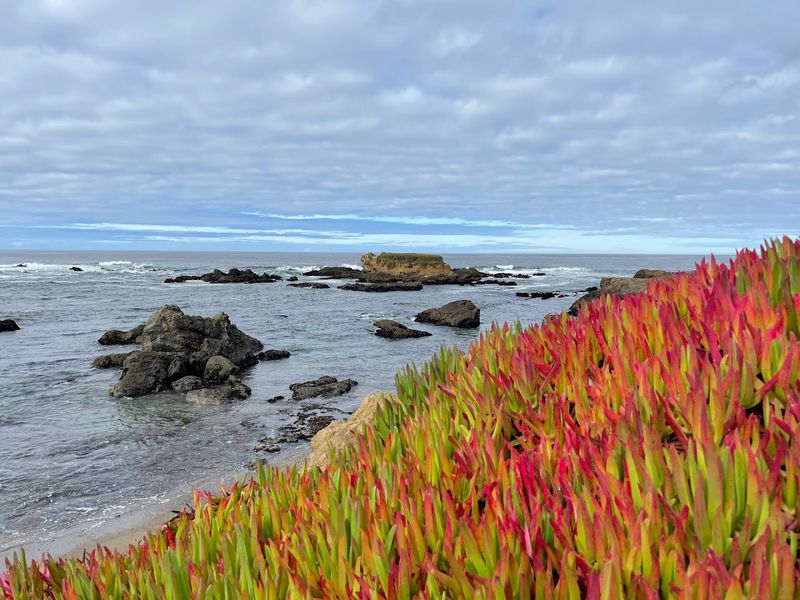 Glass Beach, Fort Bragg