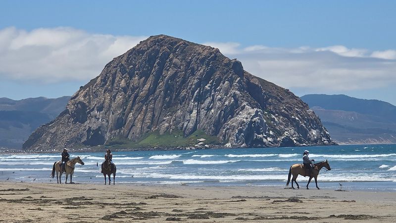 Morro Strand State Beach Campground, Morro Bay