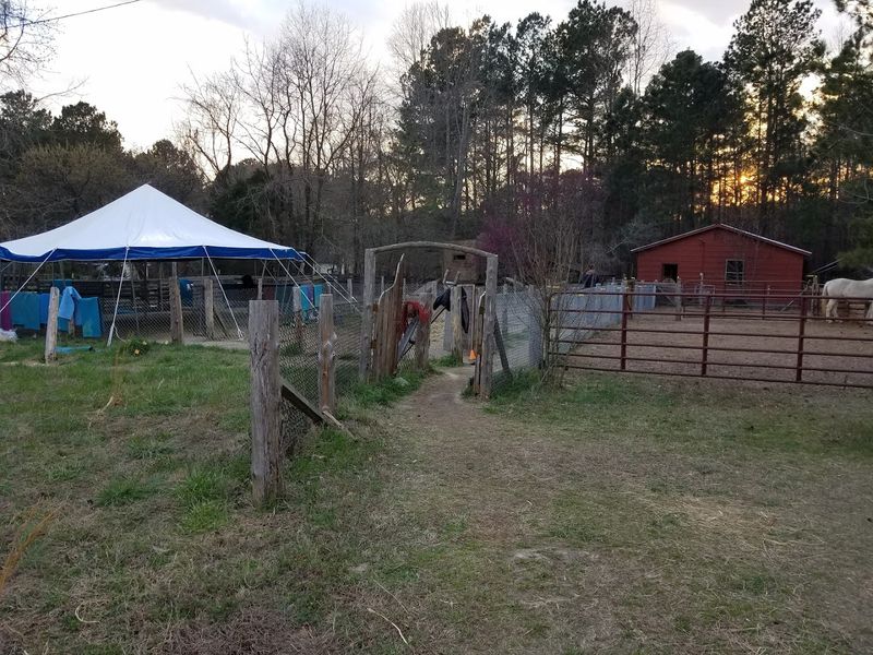 Quiet Countryside Surroundings That Help Visitors Truly Slow Down