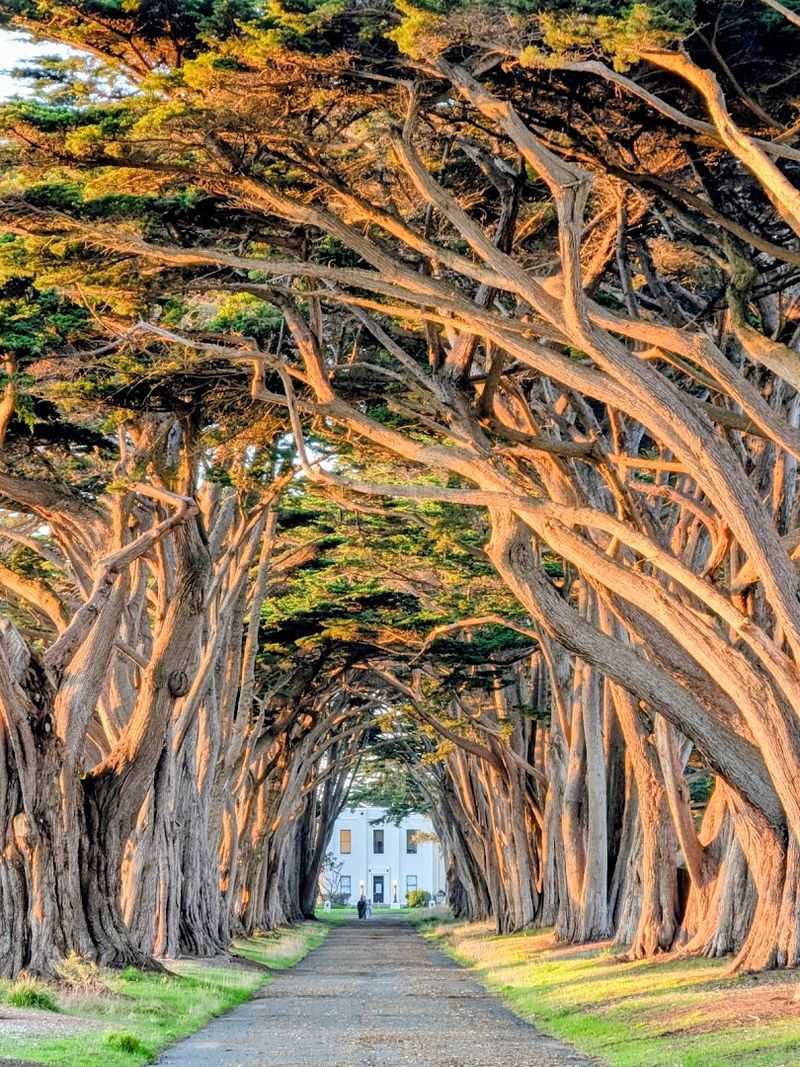 If You're Craving Real Quiet This Spring, This Northern California Escape Is It - Decor Hint Easy Access From San Francisco: About 90 Minutes Away