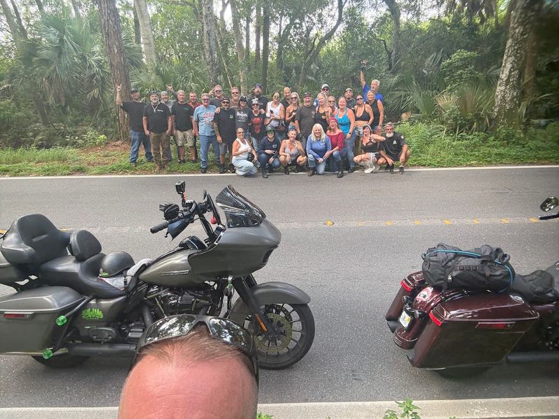 A Living Canopy Of Century-Old Oaks 