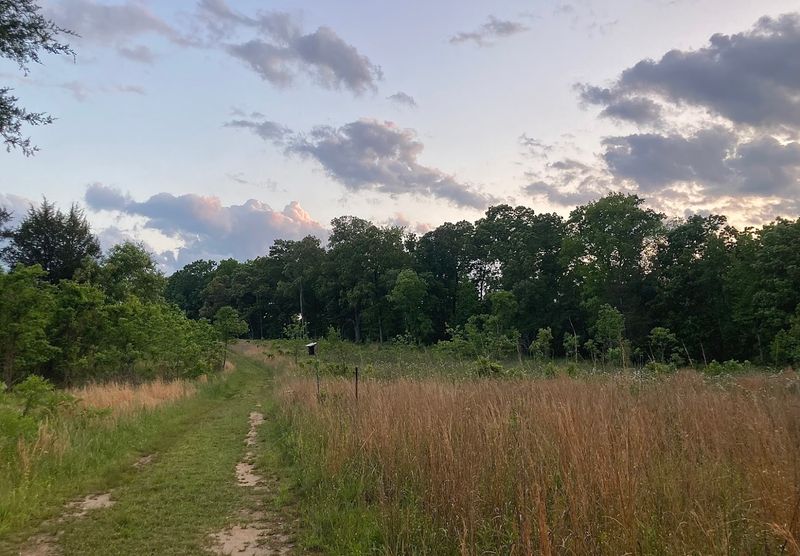 The Best Seasons For Plant Enthusiasts