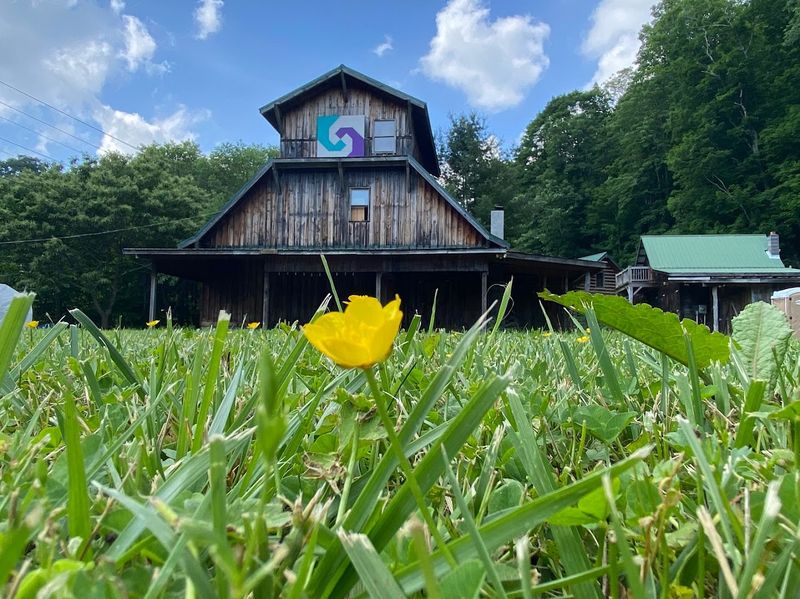 Inner Wolf Retreat Space