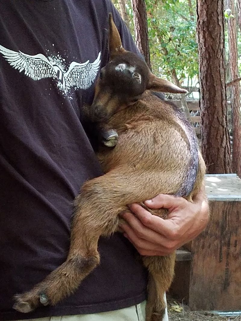 Seasonal Farm Events That Bring Locals Together In A Relaxing Setting