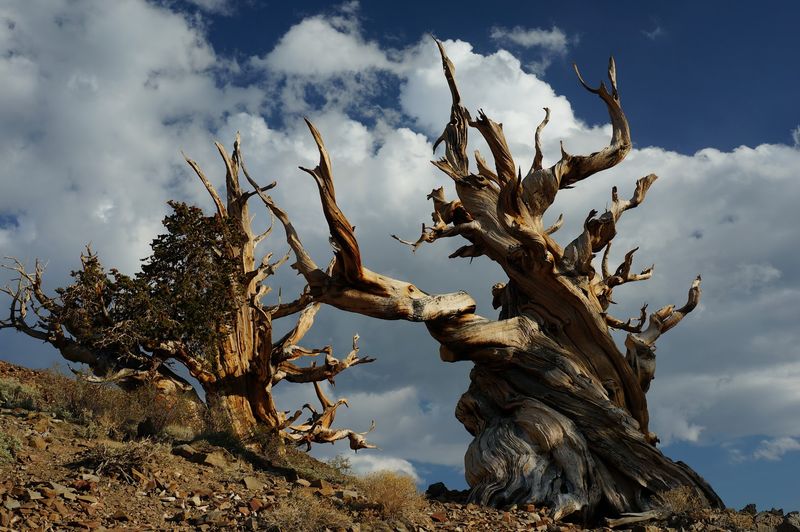 The Most Underrated Stops In The Great Basin Desert