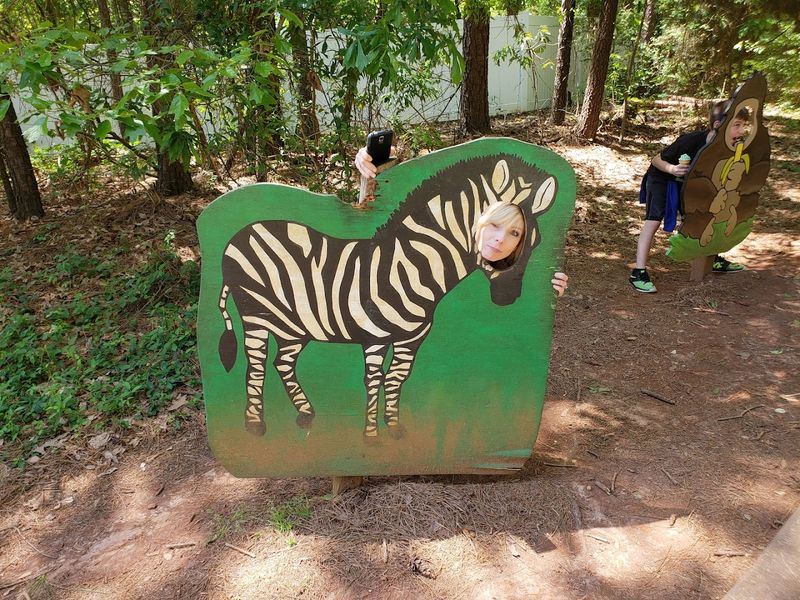 Memories That Last Long After the Drive Home