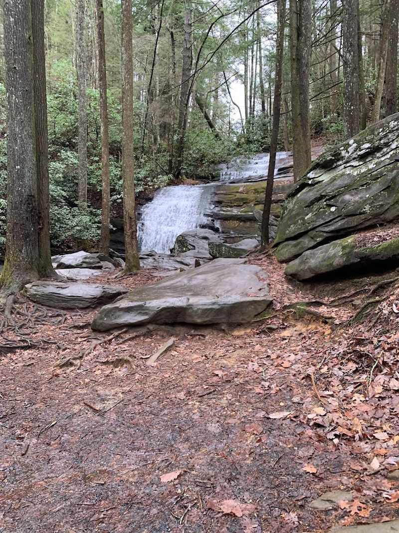 Springer Mountain Trail