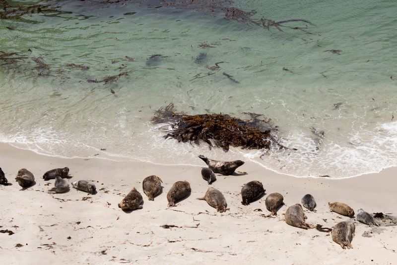 Tide Pools And Low Tide Exploration