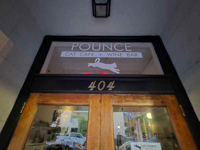 A Near-Perfect Rating That Speaks for Itself