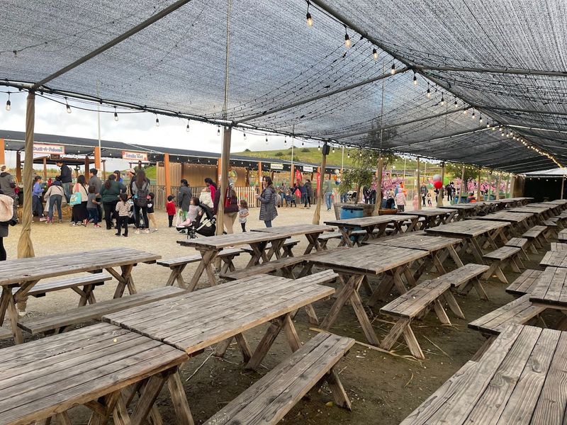 A Genuinely Family-Friendly Environment