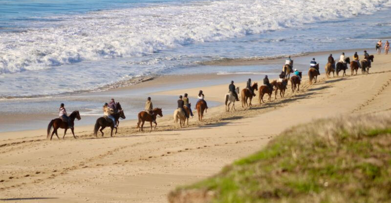 Ride Horses Along The California Coastline This Spring At This Scenic Ranch Where Waves Roll Just Steps Away