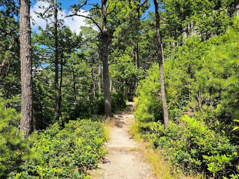The North Carolina Mountain With Breathtaking Views Will Leave You Speechless - Decor Hint The Corridor Trail Connecting Two Park Sections