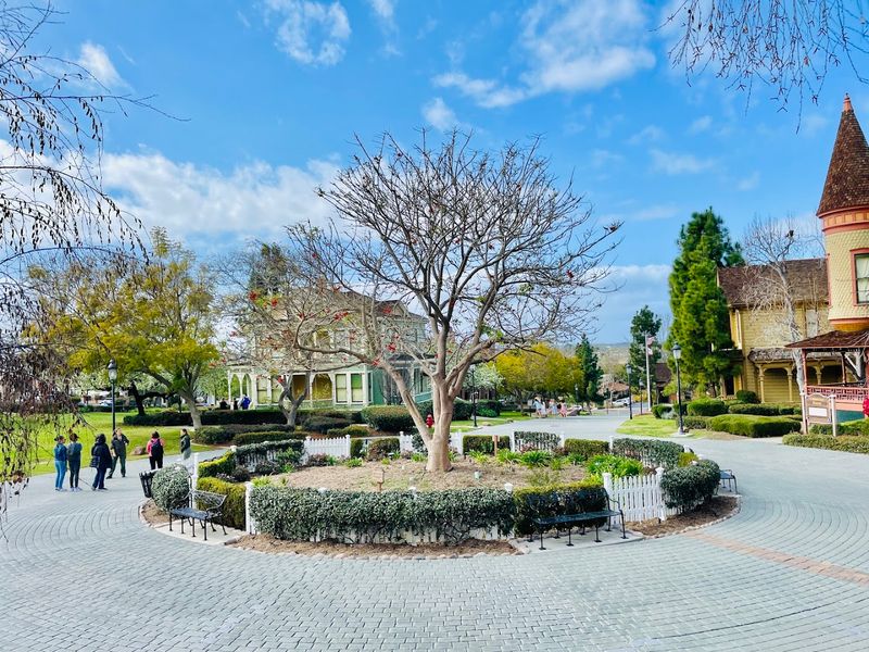 Coral Tree Tea House, San Diego