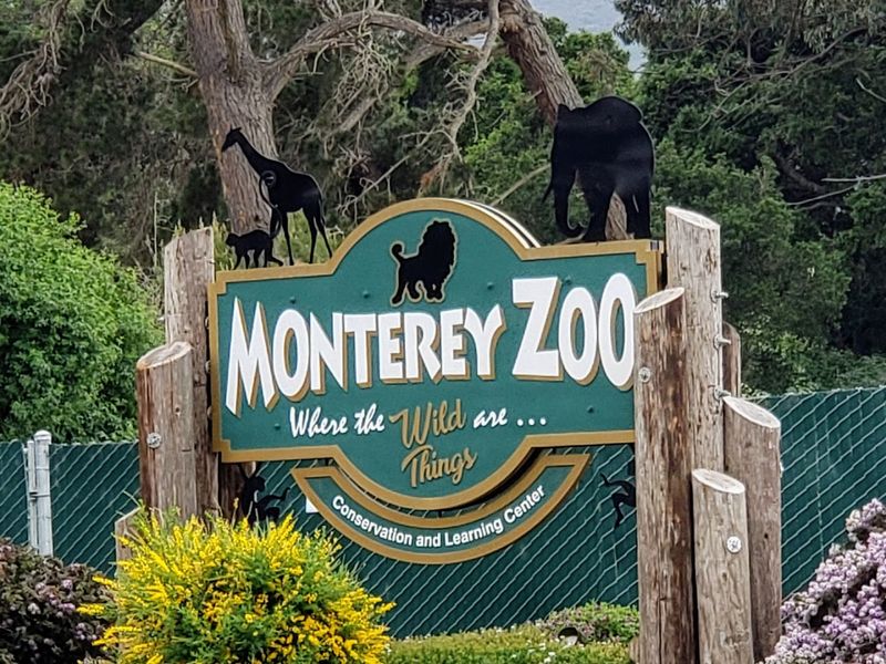 Spring At This Private California Wildlife Sanctuary Means Waking Up With Lions, Rhinos, And Zebras - Decor Hint The Monterey Zoo Is Right On The Property