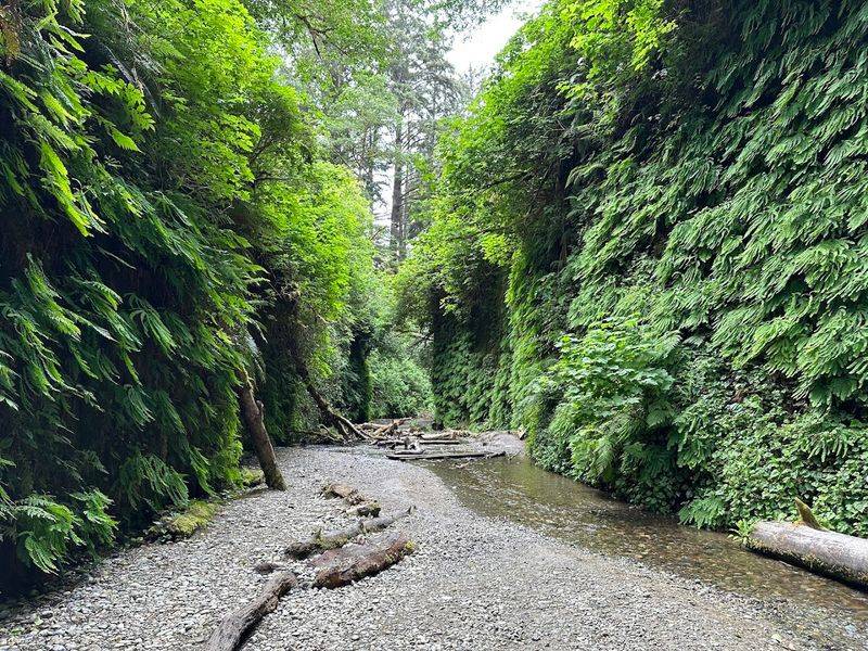 Fern Canyon, Prairie Creek Redwoods State Park