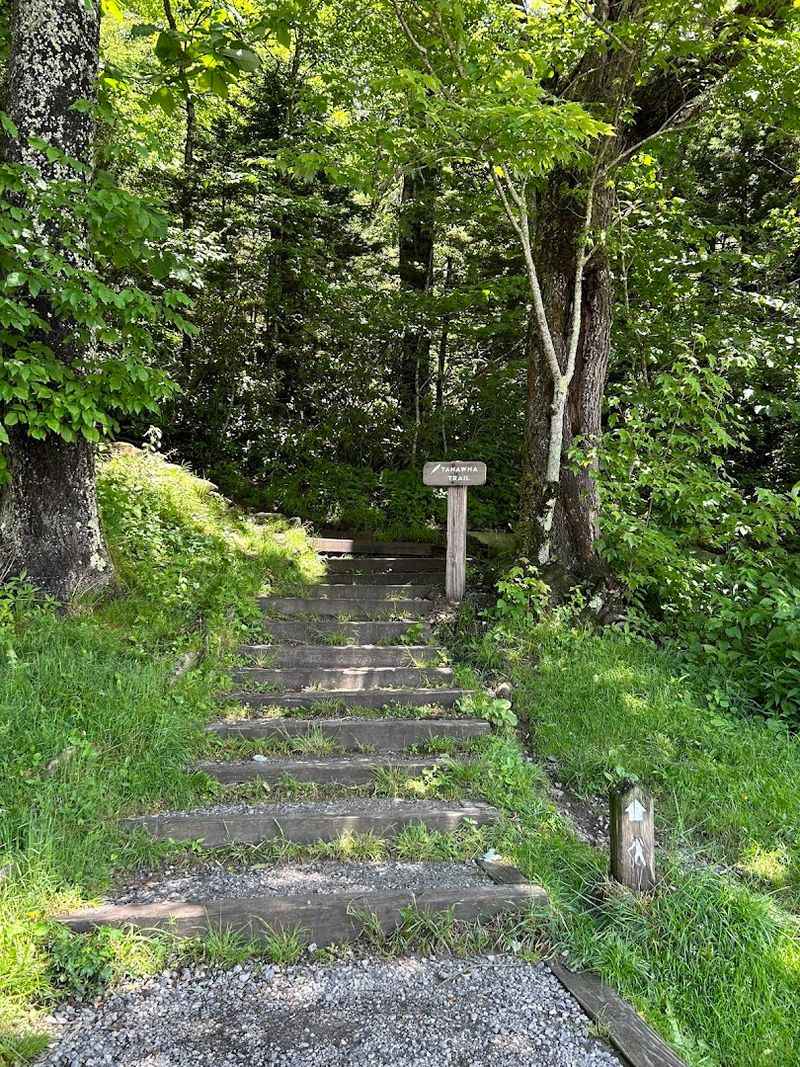 Rough Ridge Trail, Grandfather Mountain 