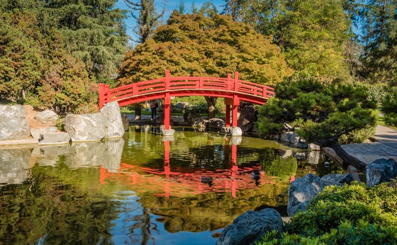 Japanese Friendship Garden