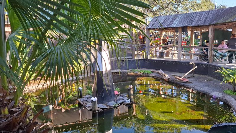 This No-Frills Restaurant In Georgia Has Famous Seafood Known Throughout The State - Decor Hint Gator Lagoon Right on the Property
