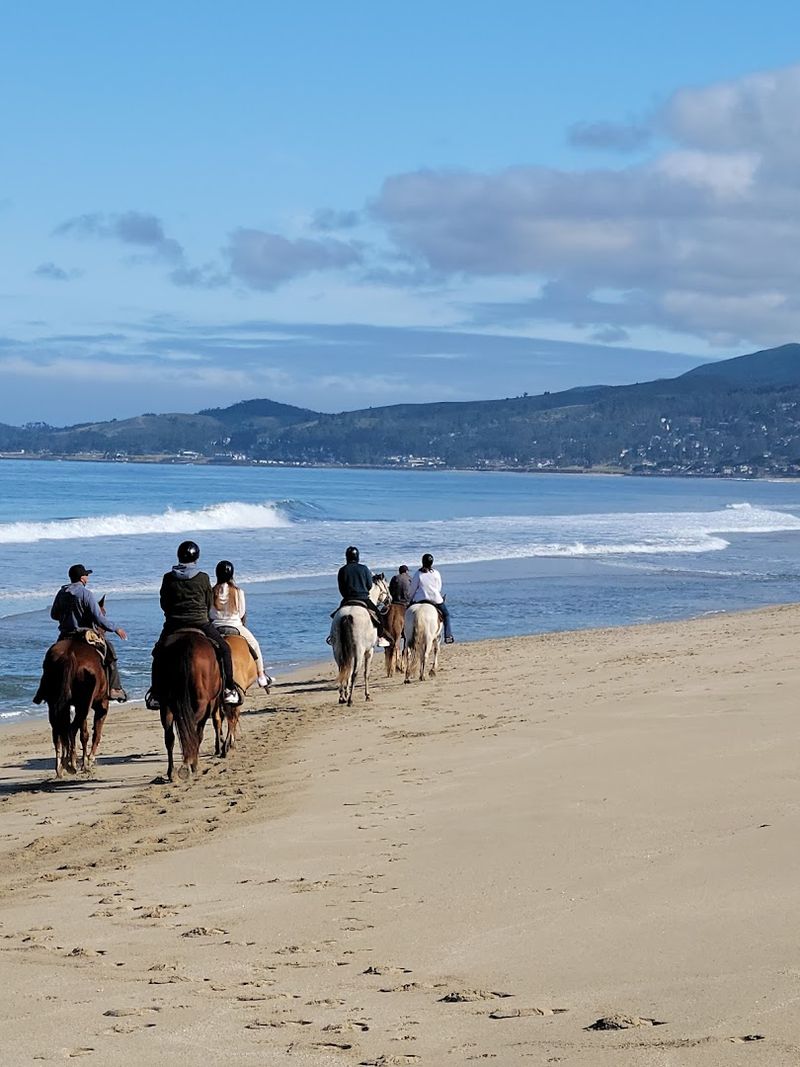 Where The Pacific Ocean Stays In View The Entire Time