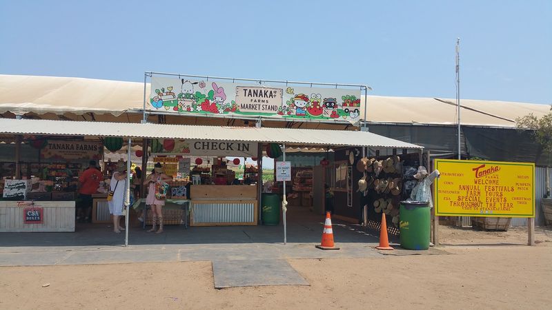 Guided Tractor Ride Tours