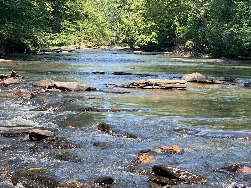 Picnic Spots for a Relaxed Nature Break