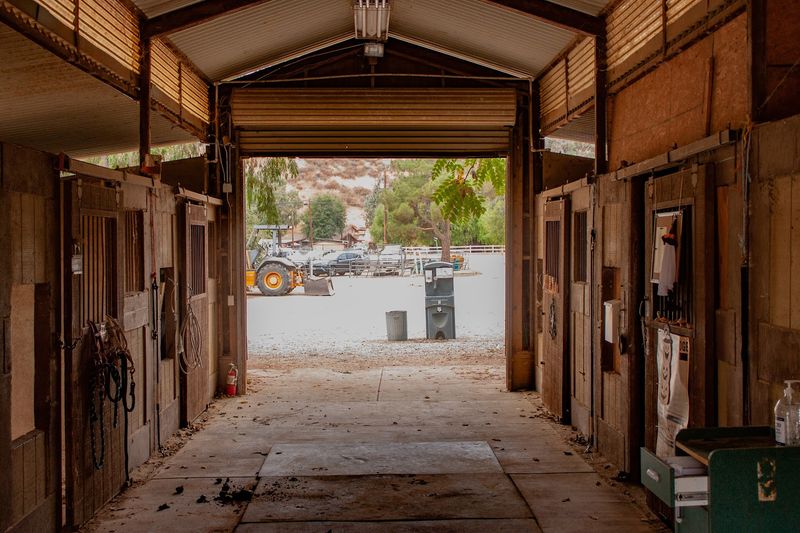 This Spring Camp Makes This California Farm The Ultimate Seasonal Destination In 2026 - Decor Hint Logistics And Visitor Tips