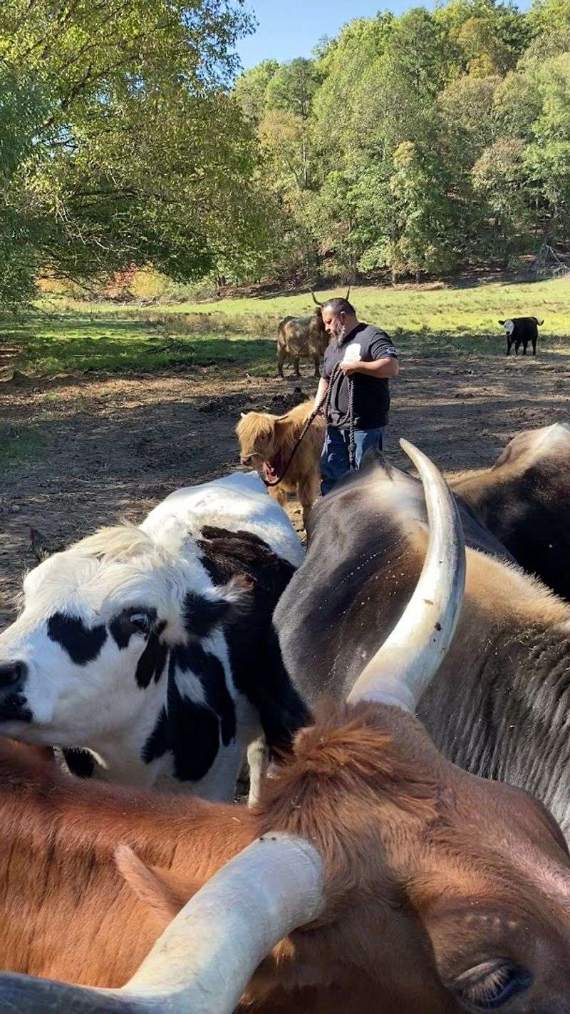 Weekly Summer Camps for Kids Ages 4 to 14