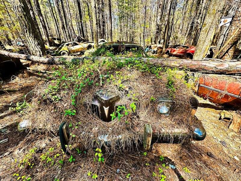 Explore 4,000 Abandoned Classic Cars Slowly Being Reclaimed By Nature At This Amazing Georgia Junkyard - Decor Hint An Atmosphere That Genuinely Cannot Be Replicated Anywhere