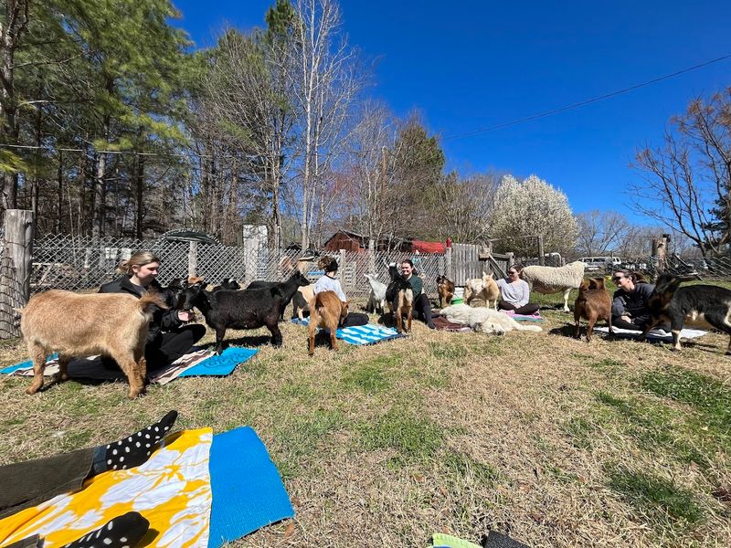 An Unforgettable Way To Spend Time Outdoors In The Durham Countryside