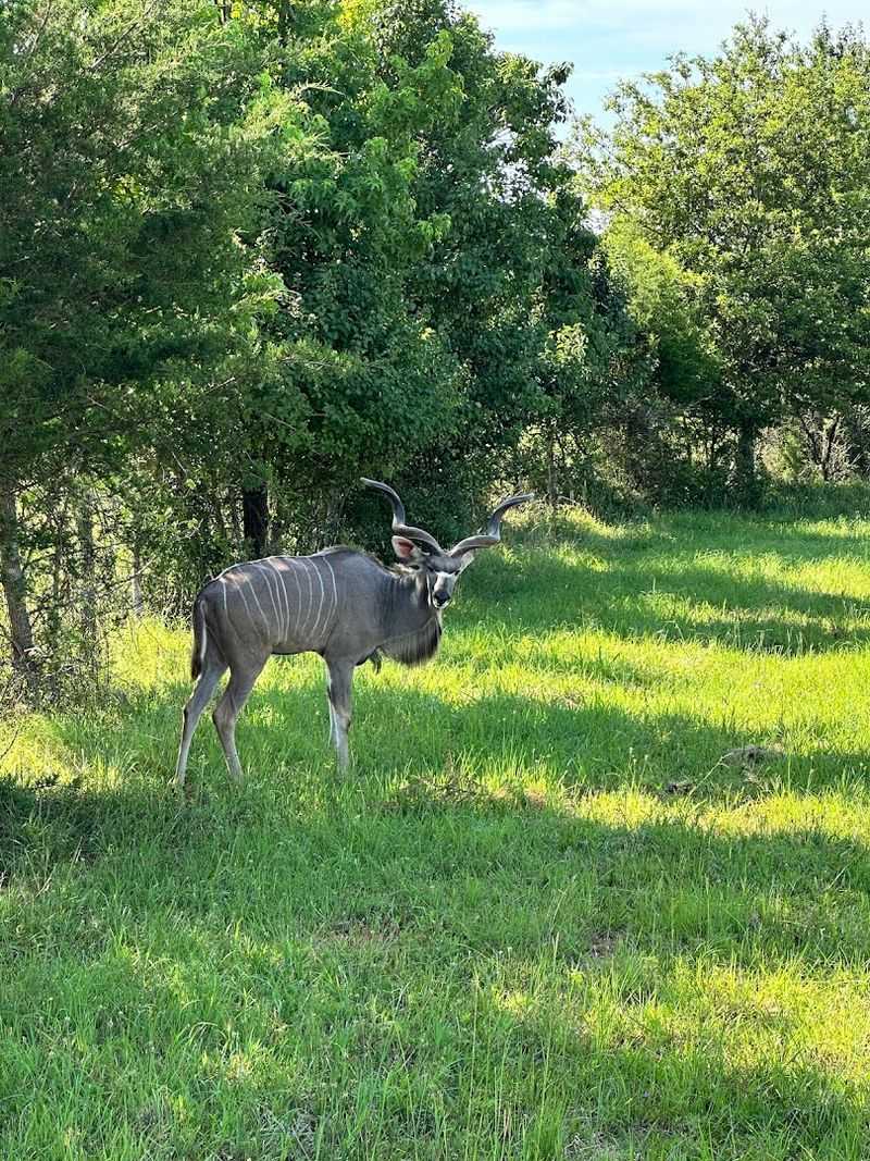 Conveniently Located Just an Hour From Atlanta
