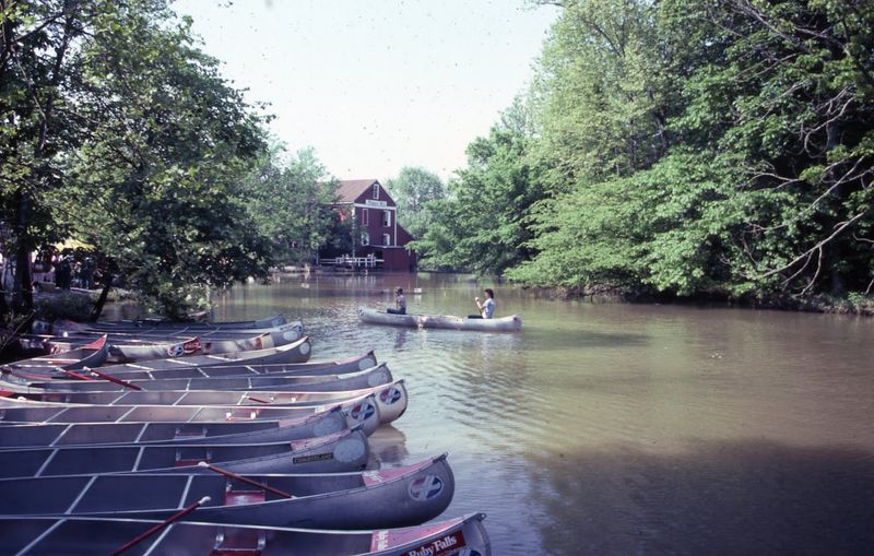 Fishing, Picnicking, and Hiking Along the Creek