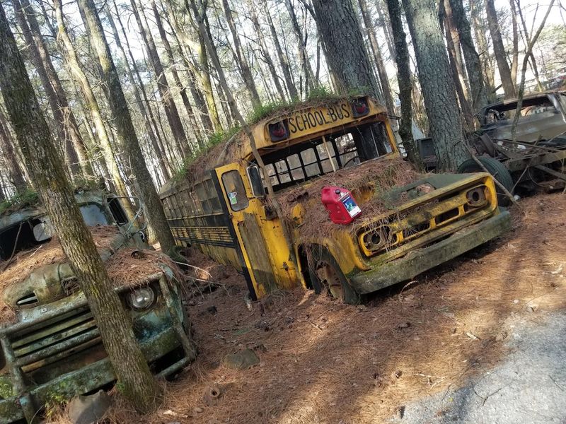 Explore 4,000 Abandoned Classic Cars Slowly Being Reclaimed By Nature At This Amazing Georgia Junkyard - Decor Hint Seasonal Events and Riding Tours Add Fresh Perspectives