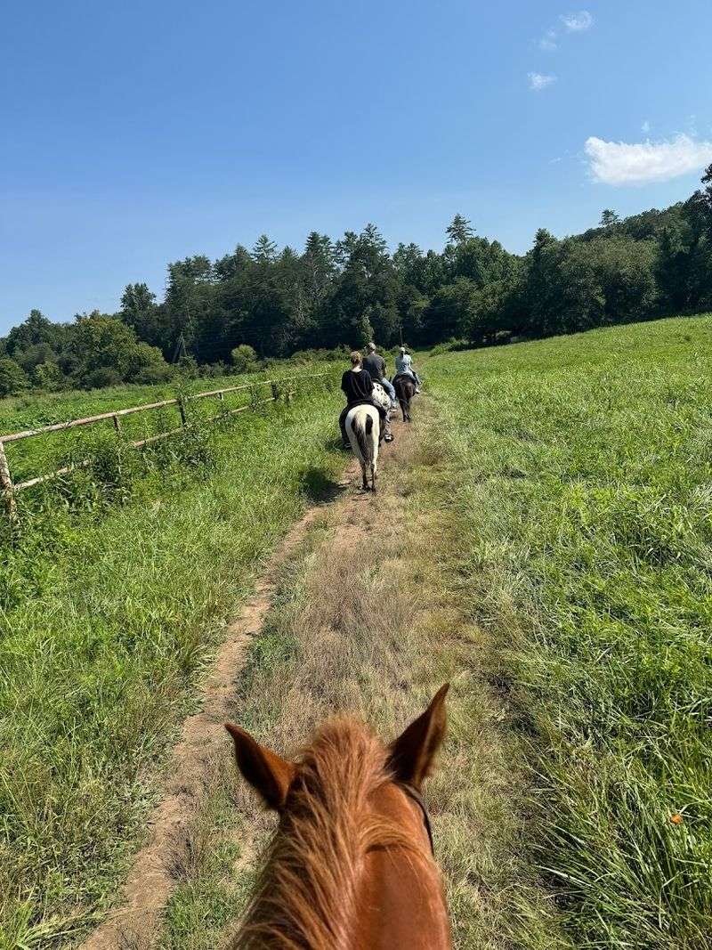 Horseback Riding Through the Sautee Nacoochee Valley