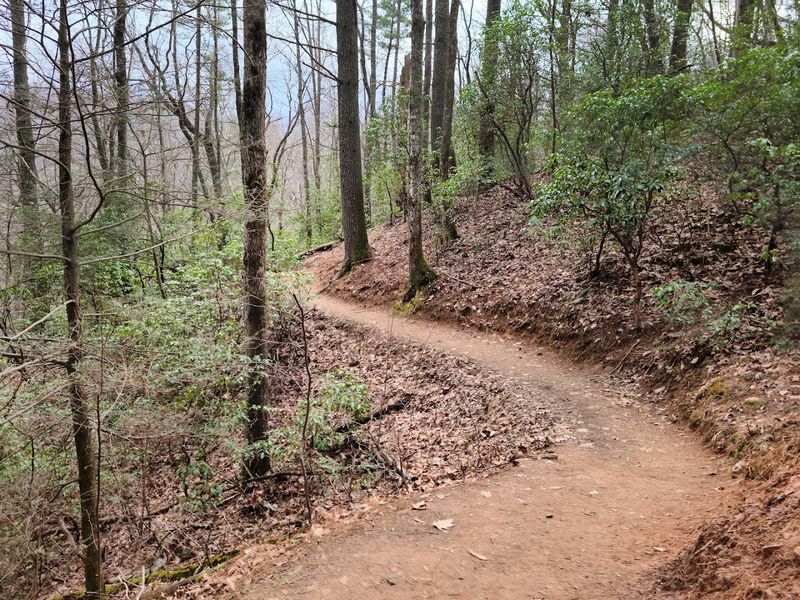 Perfect for Families With Young Kids