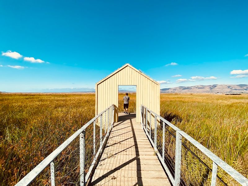 Alviso Marina County Park