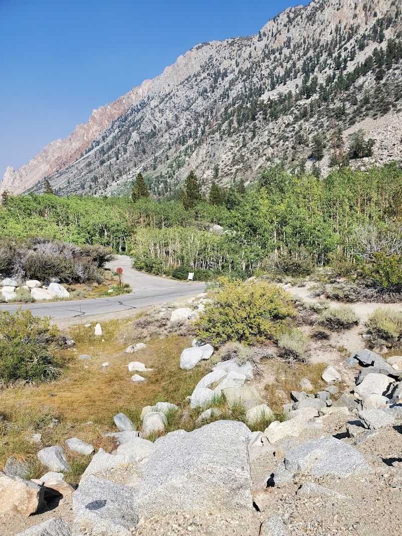 Getting There Means A Scenic Drive On State Route 168