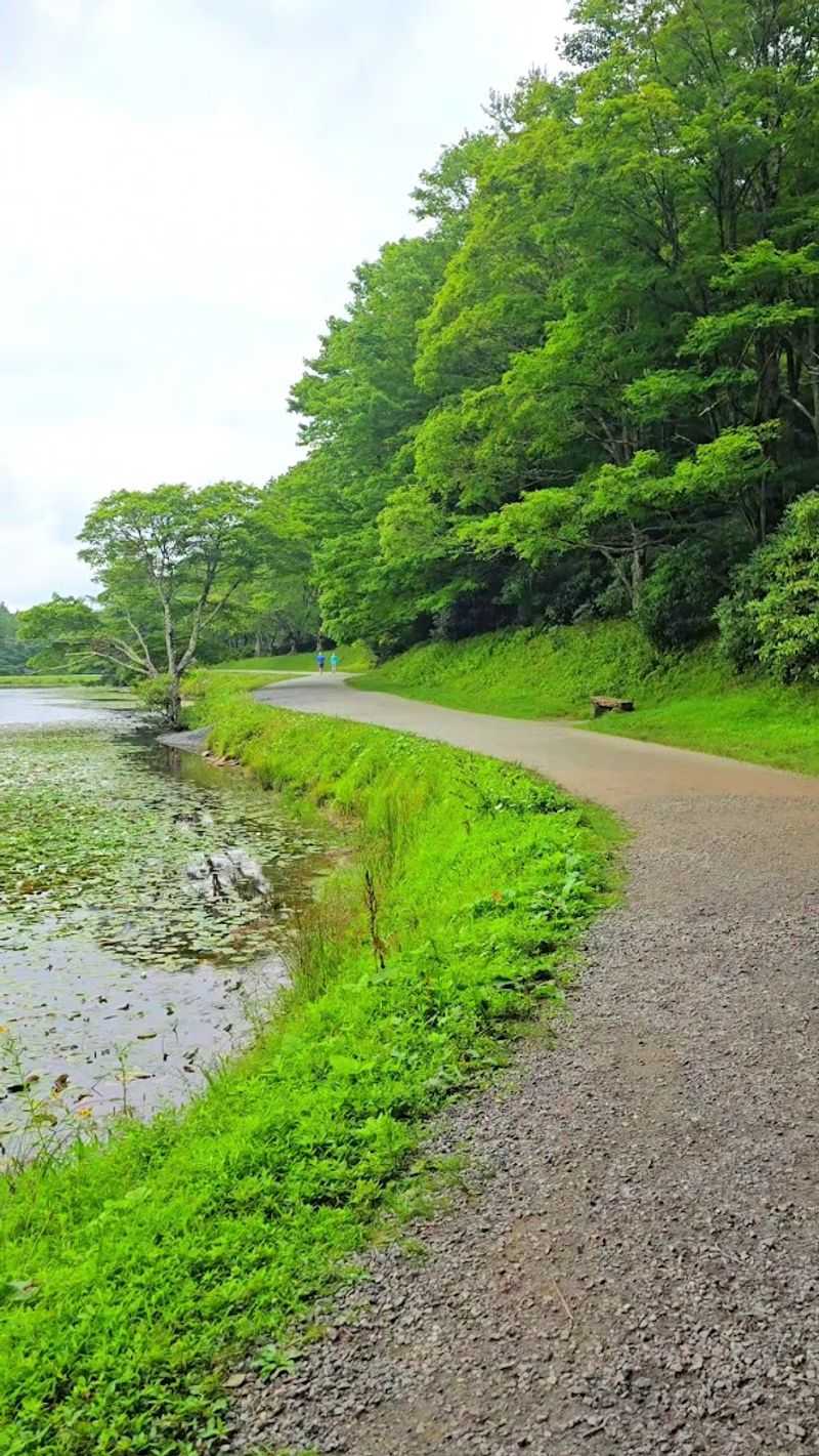 Bass Lake Trail, Moses Cone Memorial Park