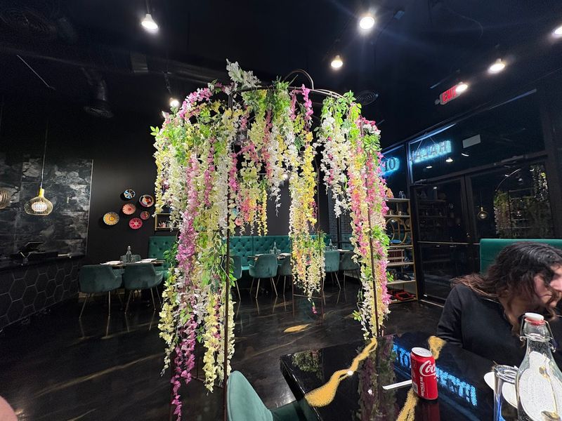 When To Visit For The Best Experience