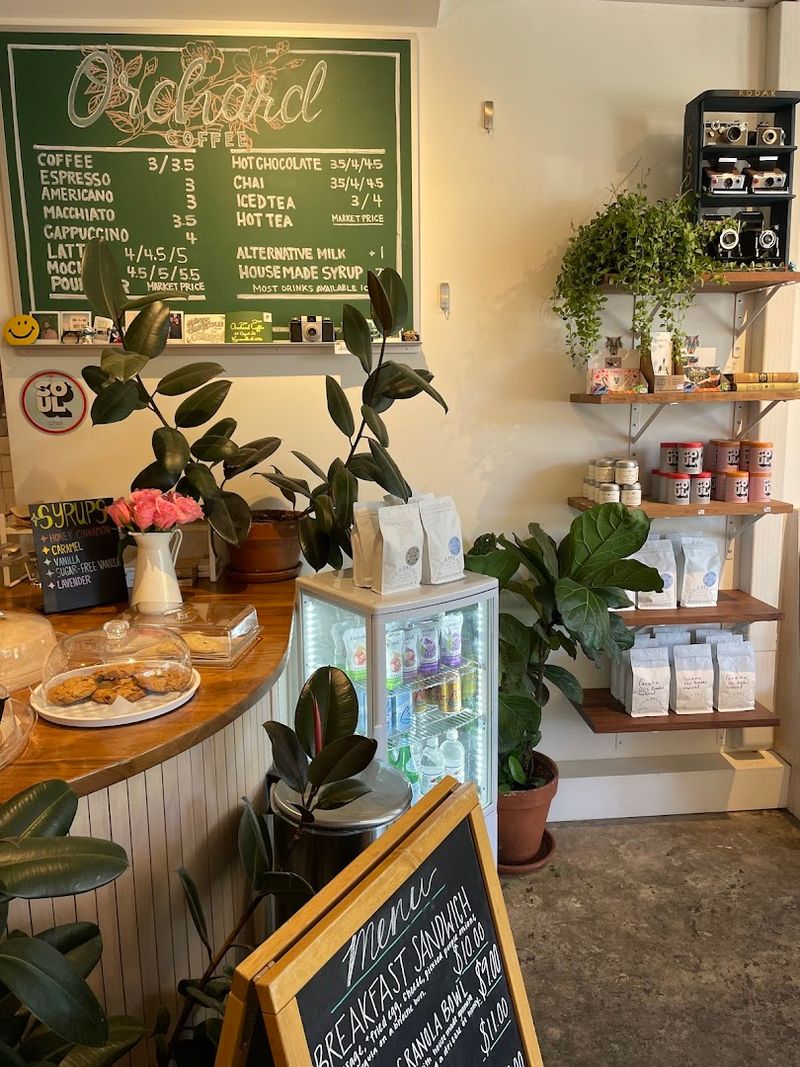 Orchard Coffee, Waynesville