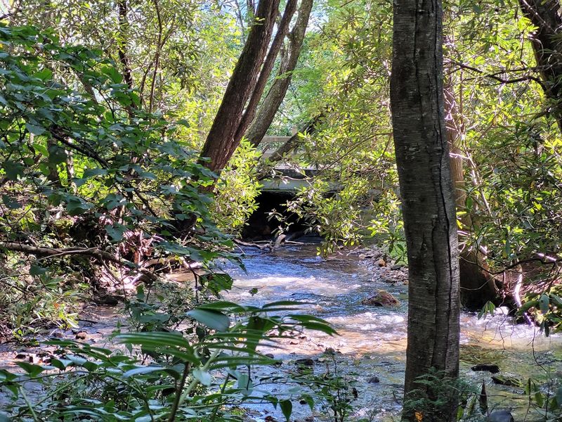 Wildlife Watching Opportunities Around Every Bend