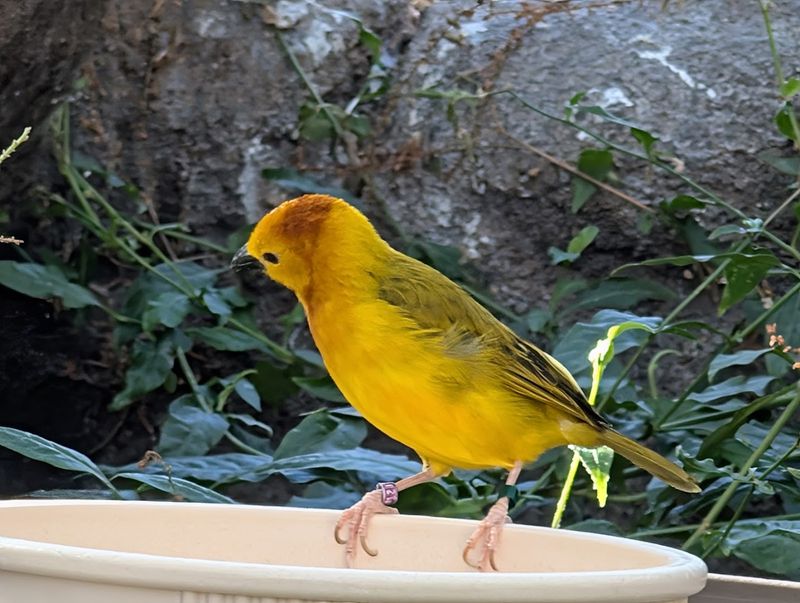 Why Families With Kids Absolutely Cannot Skip This Exhibit